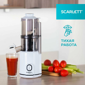 Соковыжималка Scarlett SC-JE50S63 белый 