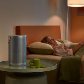  Воздухоочиститель SMARTMI Air Purifier P2 (ZMKQJHQP21) серый 