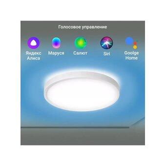  Умный светильник потолочный Digma TopLight TL40 