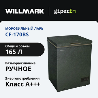  Морозильный ларь WILLMARK CF-170BS 