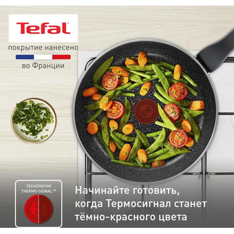  Сковорода Tefal Rock 4235124 (9100054293) 24см черный 
