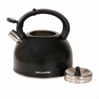  Чайник WILLMARK WTK-4810SS черный 