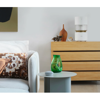  Увлажнитель Smartmi Humidifier Rainforest CJJSQ06ZM 