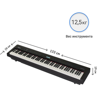  Цифровое пианино TESLER STZ-8800 Black 