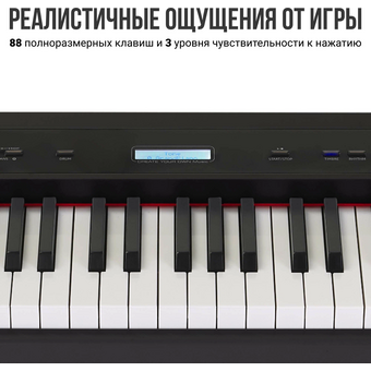  Цифровое пианино TESLER STZ-8800 Black 