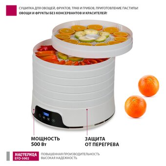 Сушилка для овощей и фруктов Мастерица EFD-5002 6 поддонов + 3 поддона д/пастилы белая 