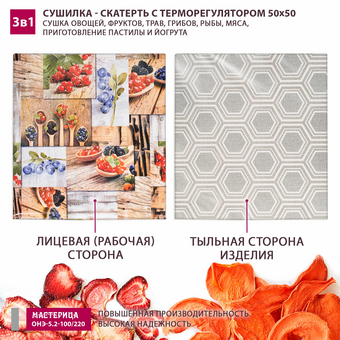  Сушилка-скатерть для овощей и фруктов Мастерица ОНЭ-5.2-100/220 50х50см 
