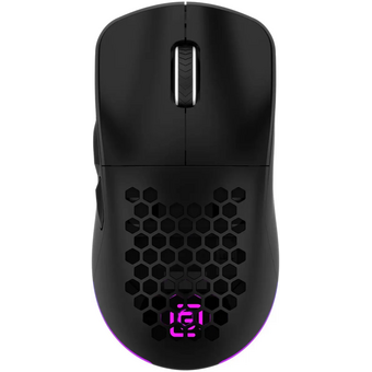  Мышь OKLICK 900GMW черный 