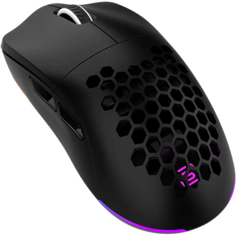  Мышь OKLICK 900GMW черный 