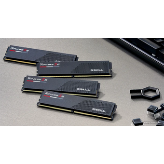  ОЗУ G.SKILL Ripjaws S5 (F5-5200J4040A32GX2-RS5K) 64GB (2x32GB) DDR5 5200MHz CL40 (40-40-40-83) 1.1V / Black 