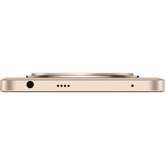  Смартфон Realme 13+ 5G 12/256Gb бронзовый 