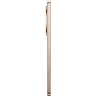  Смартфон Realme 13+ 5G 12/256Gb бронзовый 