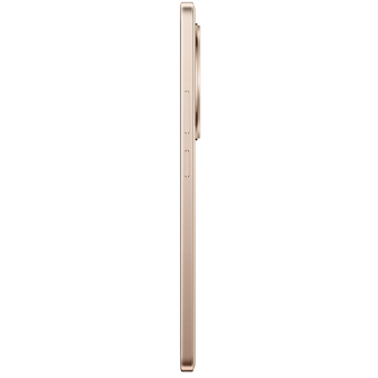  Смартфон Realme 13+ 5G 12/256Gb бронзовый 