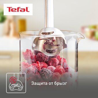  Блендер Tefal HB67E830 