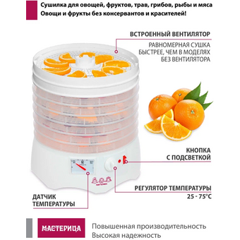  Сушилка для овощей и фруктов Мастерица EFD-0602VM 6б+2пр+1пп 