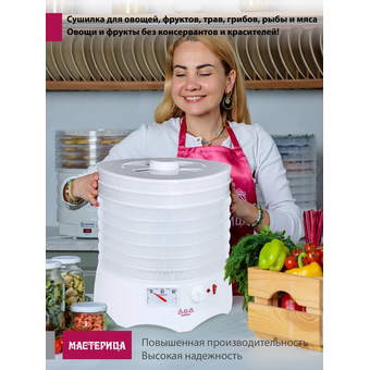  Сушилка для овощей и фруктов Мастерица EFD-0602VM 6б+2пр+1пп 
