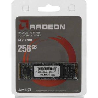  SSD AMD Radeon R3MS0256G8 256GB SATA mSATA 