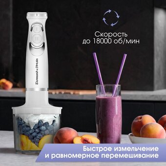  Блендер погружной Zigmund & Shtain BH-244 M (ЦБ-00005238) 