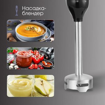  Блендер погружной Zigmund & Shtain BH-242 M (ЦБ-00005237) 
