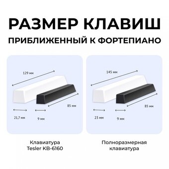  Синтезатор TESLER KB-6160 Black 