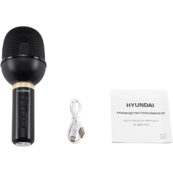  Микрофон беспроводной Hyundai H-MIC101 черный 