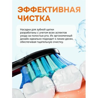  Набор зубных электрощеток Bitvae D2 Daily Toothbrush D2+D2 Bundle (B+W) 
