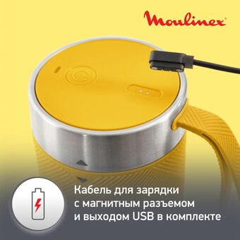  Блендер Moulinex LM1C0210 