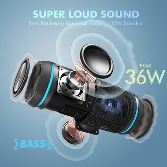  Портативная колонка W-King BT226 черный 