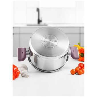  Кастрюля с крышкой Servitta Viola Sr0299 