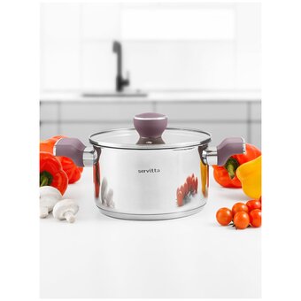  Кастрюля с крышкой Servitta Viola Sr0299 