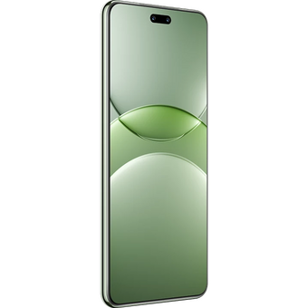  Смартфон Huawei nova 13 Pro 51098DCG 12/512Gb зеленый 