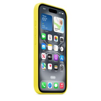  Чехол Apple MYYG3ZM/A для Apple iPhone 16 Plus Star Fruit 