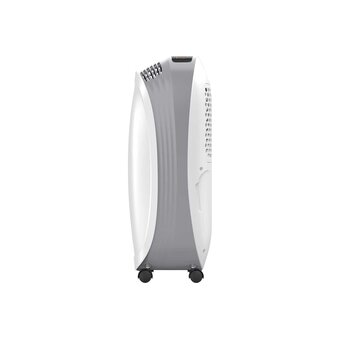  Бытовой осушитель воздуха Funai RAD-N10F3E 