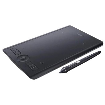  Графический планшет Wacom PTH-660-N Intuos Pro M (Medium) (North) 