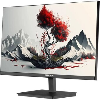  Монитор RDW COMPUTERS RDW2401K (2401K/F00В3120V2A1) черный 