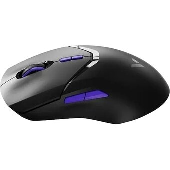  Мышь RAPOO VT9Pro4K Wired/Wireless Gaming Mouse Black 