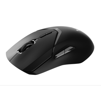  Мышь RAPOO VT9Pro Wired/Wireless Gaming Mouse Black 