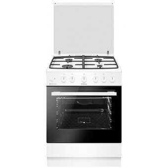  Кухонная плита Hansa FCGW63193 