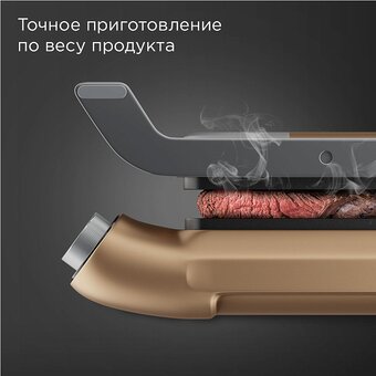  Гриль Redmond SteakMaster GM303 бронзовый 