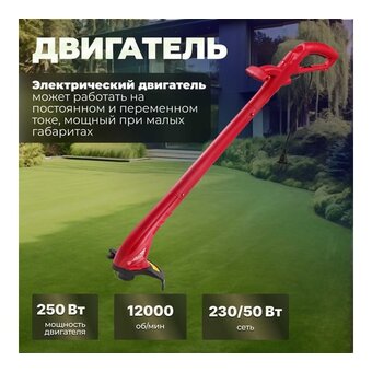 Триммер для травы Wortex TE 2203-1 (0318251) 