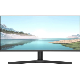  Монитор NPC MZ300L черный 