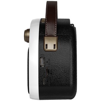  Радиоприемник RITMIX RPR-040 White 
