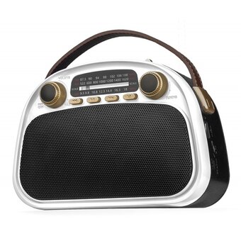  Радиоприемник RITMIX RPR-040 White 