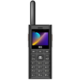  Мобильный телефон BQ 2010 Talkie Black 