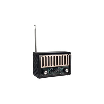  Радиоприемник Ritmix RPR-020 