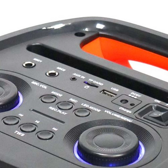  Портативная акустика Microlab PT602W 