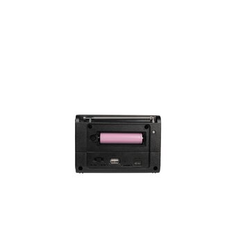  Радиоприемник Ritmix RPR-020 