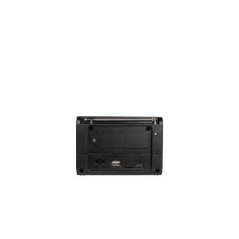  Радиоприемник Ritmix RPR-020 