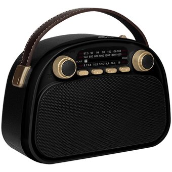  Радиоприемник RITMIX RPR-040 Black 