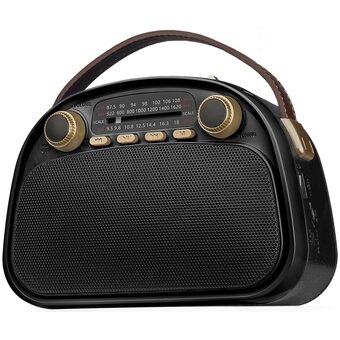  Радиоприемник RITMIX RPR-040 Black 